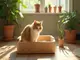 die-vorzuege-eines-selbstreinigendes-katzenklo-aus-holz-natuerlich-und-nachhaltig