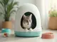 tipps-fuer-die-nutzung-eines-selbstreinigenden-katzenklo-bei-durchfall-ihrer-katze